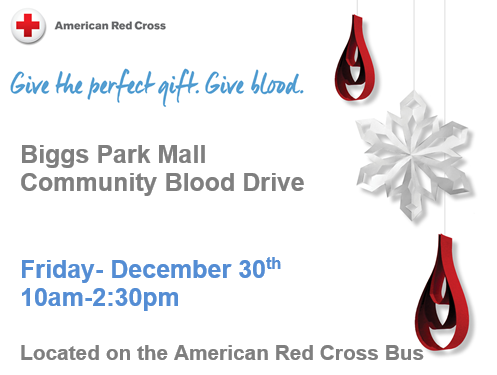 Community Blood Drive at Biggs Park Mall