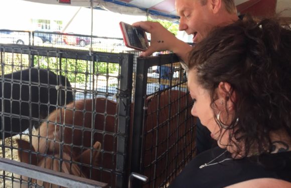 Pictures from Robeson Reads Bigg Event & Petting Zoo