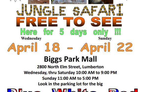 Jungle Safari Returns