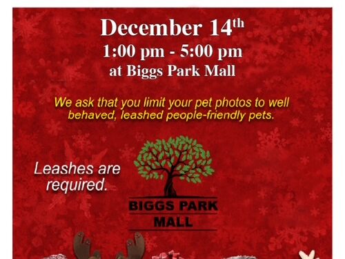 Pet Photos with Santa
