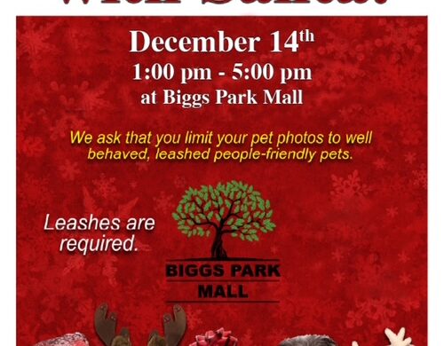 Pet Photos with Santa