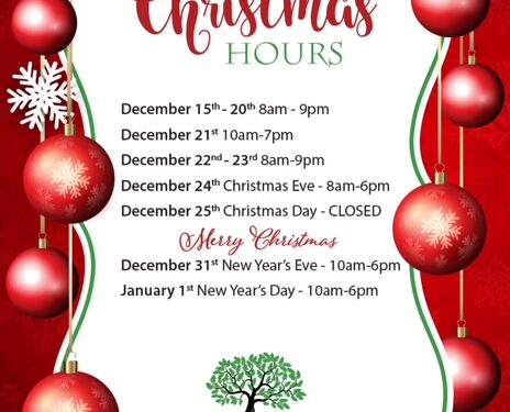 Biggs Park Mall Holiday Hours 2025