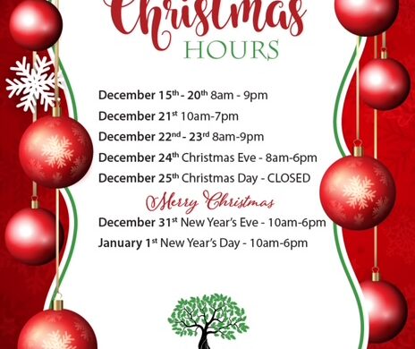 Biggs Park Mall Holiday Hours 2025