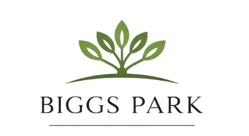Biggs Park Mall